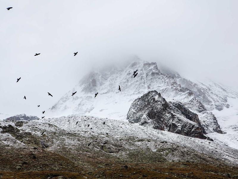 sudoku time killer screenshot 6